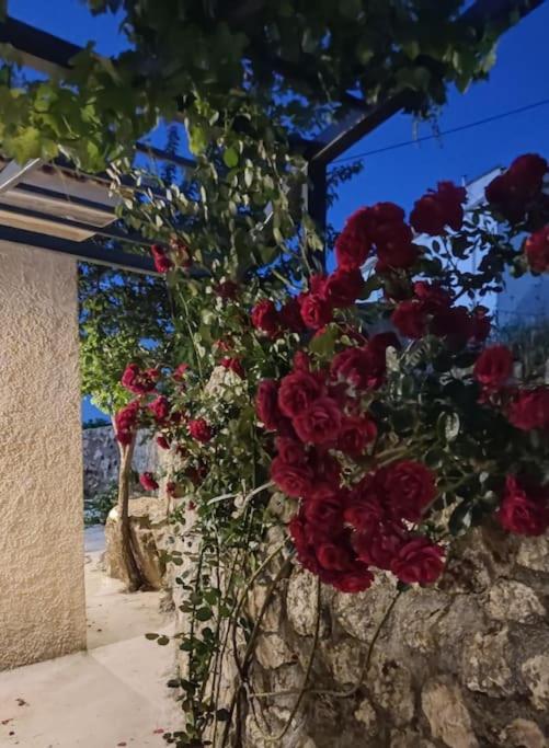 Villa Aiolia Kondoyenádha Exterior foto